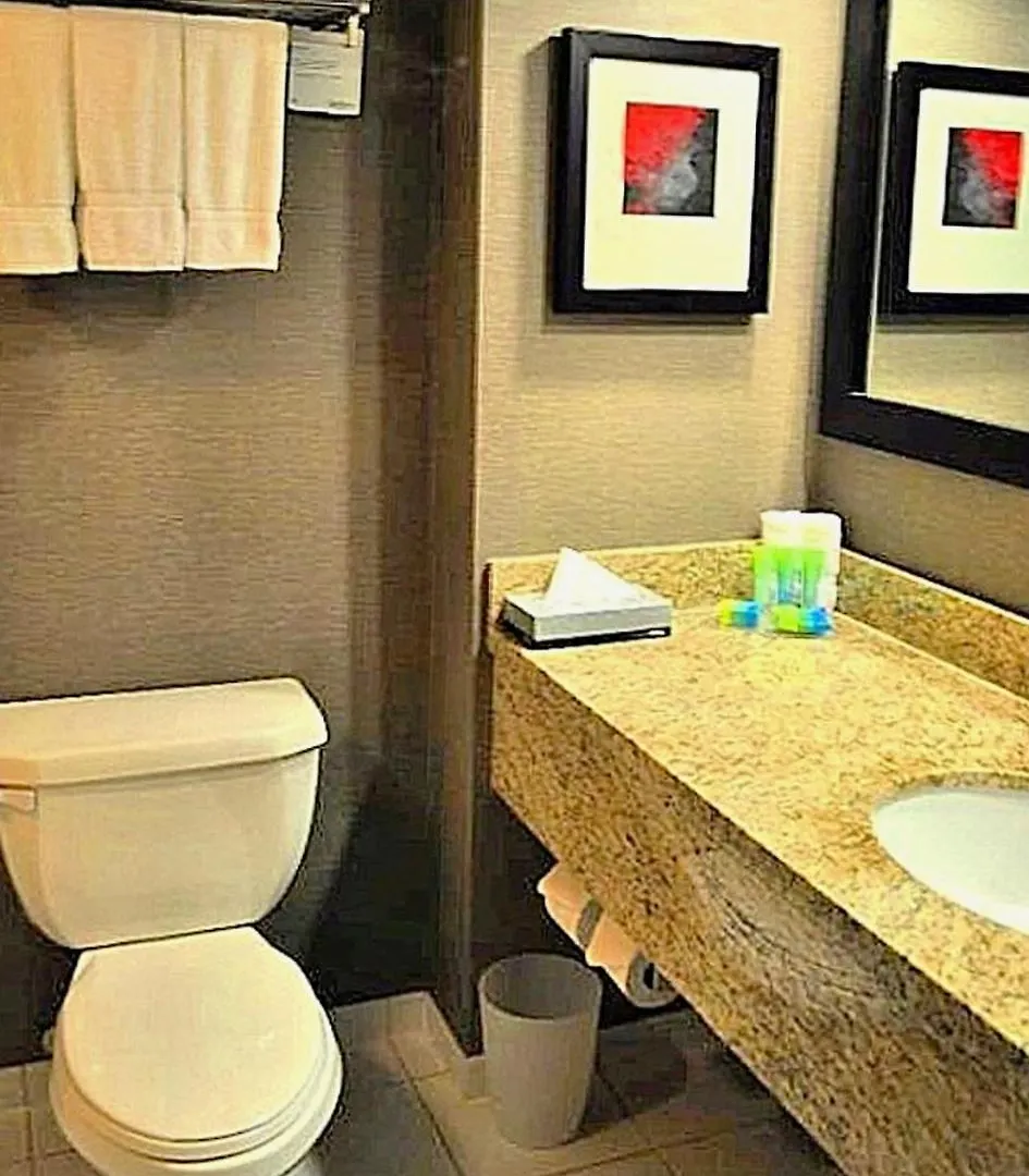 ****  Radisson Hotel Vancouver Airport Richmond Kanada