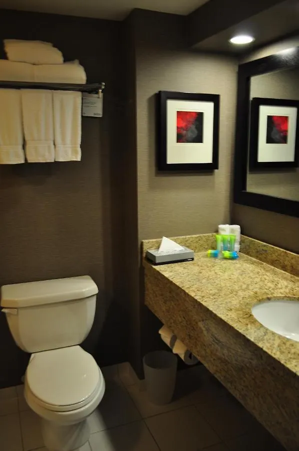 Radisson Hotel Vancouver Airport Ричмонд